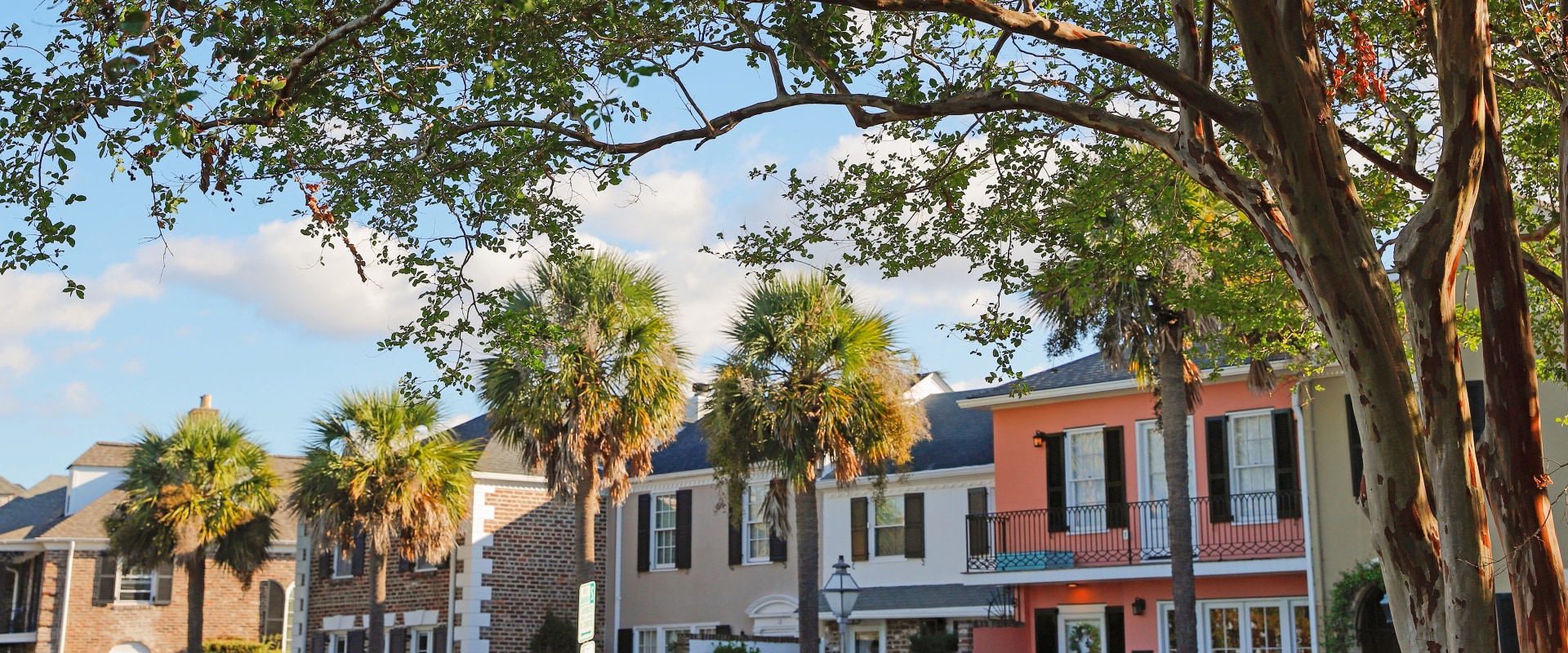 Exploring the Diverse Businesses in Lowcountry South Carolina