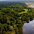 The Impact of Lowcountry South Carolina's Natural Environment on Businesses