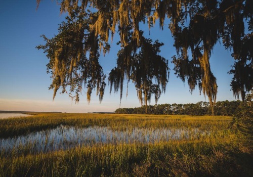 The Changing Business Landscape of Lowcountry South Carolina